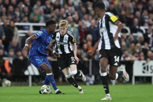 他们在比赛 他们在比赛