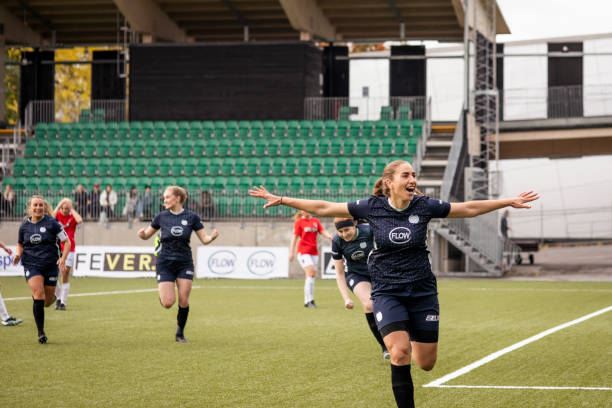 主导的时代 主导的时代